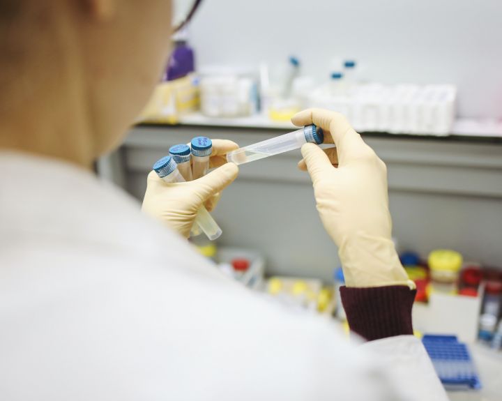 Galimybių pasui gauti galios tik PGR testas