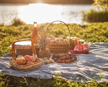 Pikniko atmintinė: kaip išvengti nemalonių skrandžio sutrikimų