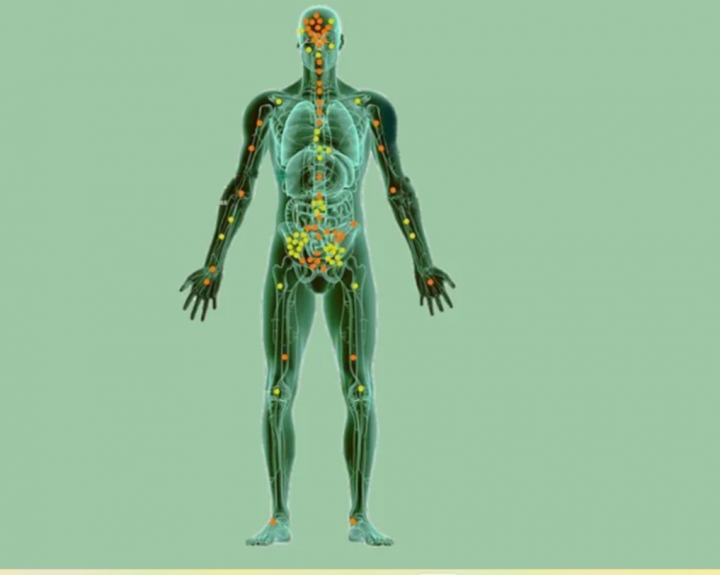 CBD ir endokanabinoidinė sistema: ką reikėtų žinoti kiekvienam?