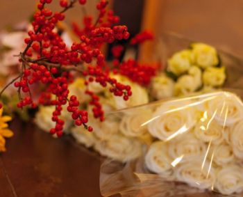 Bus apdovanoti geriausi Lietuvos medikai – siūlykite kandidatus