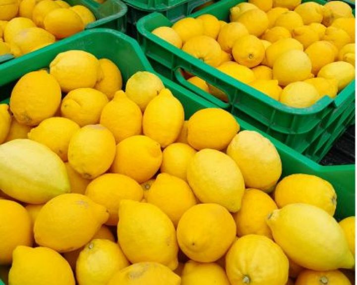Kuo vitaminas C gali būti naudingas smegenų sveikatai senstant