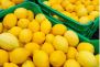 Kuo vitaminas C gali būti naudingas smegenų sveikatai senstant