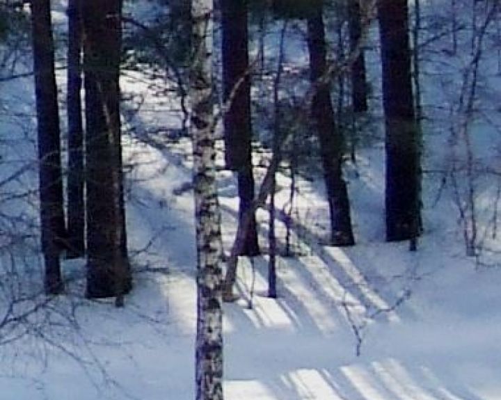 Permainingi orai veikia širdį ir kraujagysles