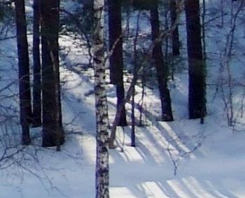 Permainingi orai veikia širdį ir kraujagysles