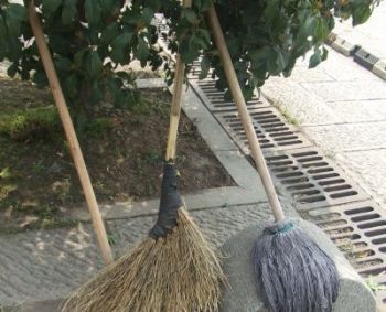 Graužikų platinamos pavojingos ligos: ką svarbu žinoti
