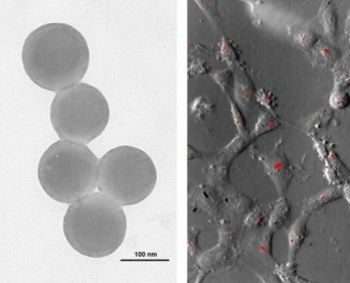 Nematomi naviko laiškai: kaip glioblastoma kalbasi su smegenimis