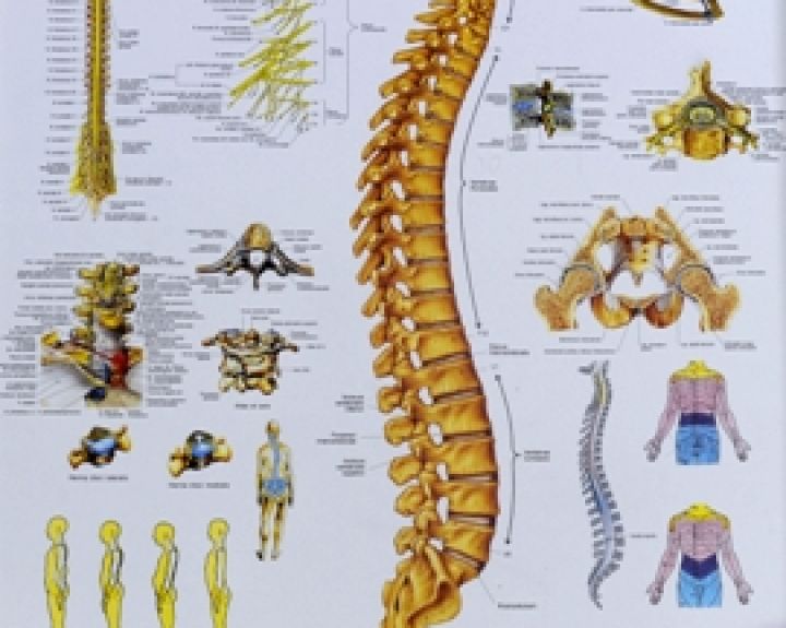 Pažangus metodas 85-erių moterį išvadavo iš skausmo