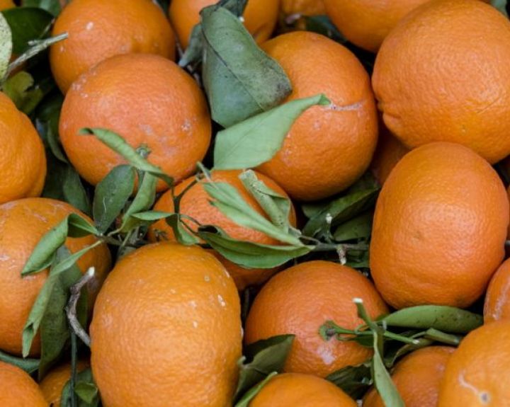 Mandarinų žievelių išmesti tikrai neverta