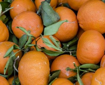Mandarinų žievelių išmesti tikrai neverta