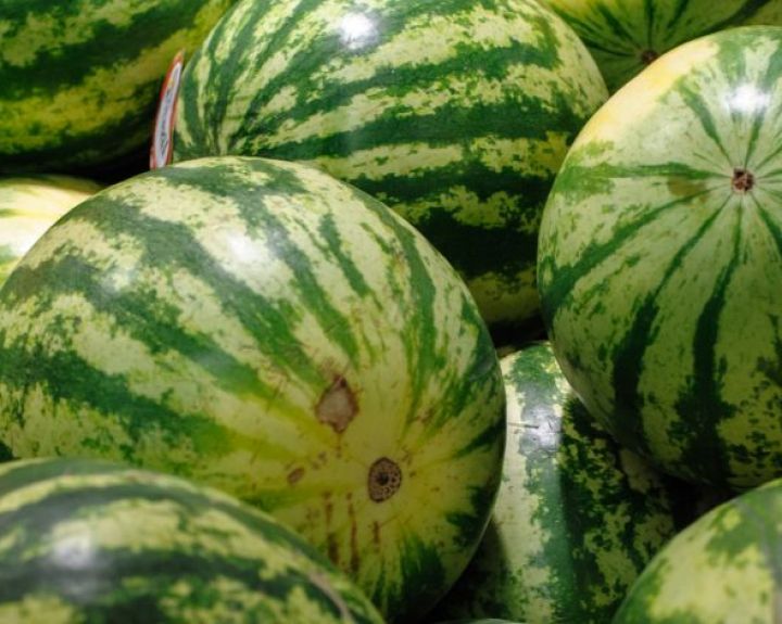 Arbūzai gali padėti išgydyti erekcijos sutrikimus