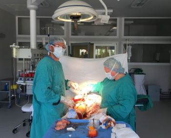 Ir traumatologijoje reikia išmanyti geometriją