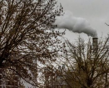 Kaip apsisaugoti nuo smogo sukeliamo neigiamo poveikio sveikatai