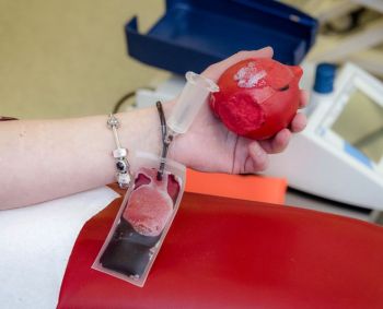 Šuolis kraujo ląstelių gamyboje