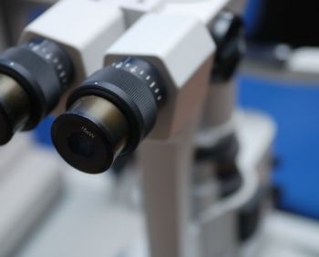  Lietuvos ir Latvijos mokslininkų tyrimai atveria naujas  Parkinsono ligos gydymo galimybes