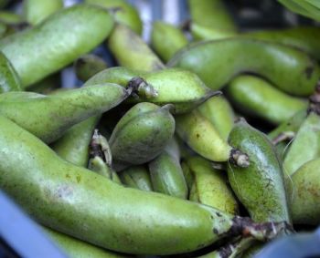 Ką apie baltymus privalo žinoti veganai ir vegetarai